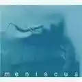 Meniscus Absence Of I