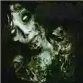 Gorerotted A New Dawn for the Dead