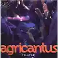 Agricantus Tuareg