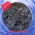 Morbid Angel Altars Of Madness