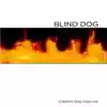 Blind Dog Captain Dog Logs Out