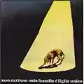 Rino Gaetano Mio Fratello E' Figlio Unico