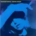 Marianne Faithfull Broken English