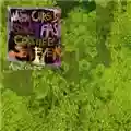 Animal Collective Water Curses
