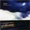 Sophia Technology Won't Save Us