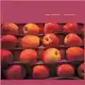 Oren Ambarchi Suspension