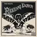 The Roots Rising Down