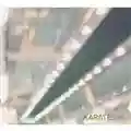 Karate 595
