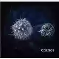 Cranes Cranes
