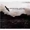 Whispering Gallery Shades Of Sorrow