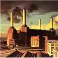 Pink Floyd Animals