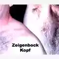 Zeigenbock Kopf Fuck You To Dust