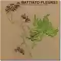 Franco Battiato Fleurs 2