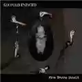 Six Fold Enticed Five Truths Untold