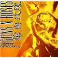 Guns N' Roses Chinese Democracy