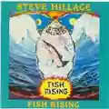 Steve Hillage Fish Rising