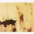 Nine Inch Nails The Downward Spiral