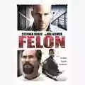 Ric Roman Waugh Felon