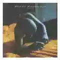 Meshell Ndegeocello Bitter