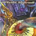Infected Mushroom Classical Mushroom