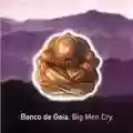 Banco De Gaia Big Men Cry