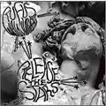 Rufus Wainwright Release The Stars