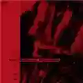 Les Rallizes Dénudés '77 Live