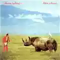Adrian Belew Lone Rhino