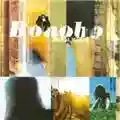 Bonobo Animal Magic
