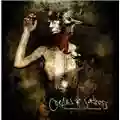 Oceans Of Sadness The Arrogance Of Ignorance