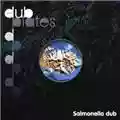Salmonella Dub Inside the Dub Plates