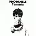 Pino Daniele Terra Mia