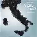Afterhours Il Paese E' Reale