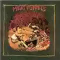Meat Puppets Meat Puppets
