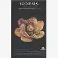 Giovanni De Liso Genesis - Once Upon A Time