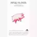 Alessandro Besselva Averame Pink Floyd. The Lunatic.