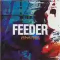 Feeder Polythene