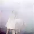 Uzi & Ari Headworms