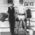 Diaframma Boxe