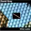 David Gray White Ladder