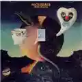 Nick Drake Pink Moon