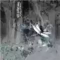 Will-o-the Wisp A Gift For Your Dreams