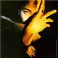 Terence Trent D'arby Neither Fish Nor Flesh