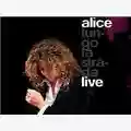 Alice Lungo La Strada Live
