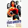Giuseppe De Santis Riso amaro