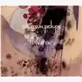 Silversun Pickups Swoon