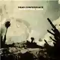 Dead Confederate Wrecking Ball