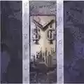 McAuley Schenker Group MSG