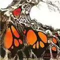 Earth and Fire Earth and Fire