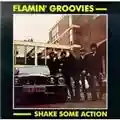 Flamin' Groovies Shake Some Action